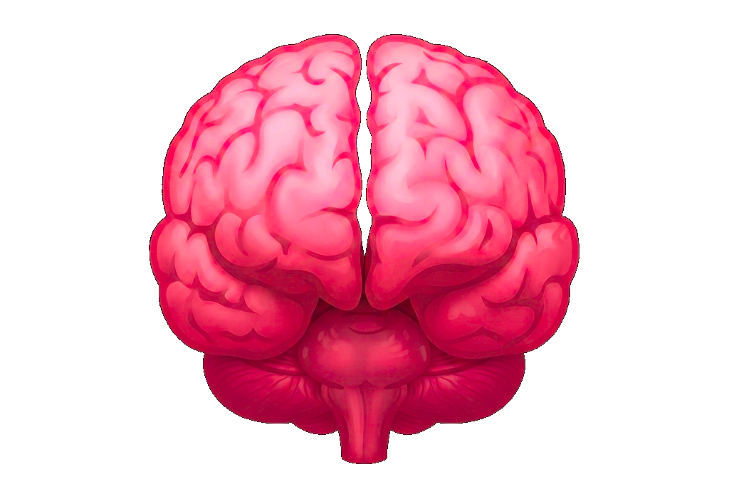 Glowing Brain Graphic